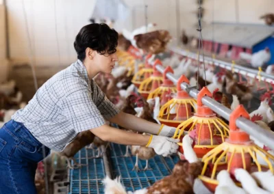 Trabajar en España - Amauta Asesoría